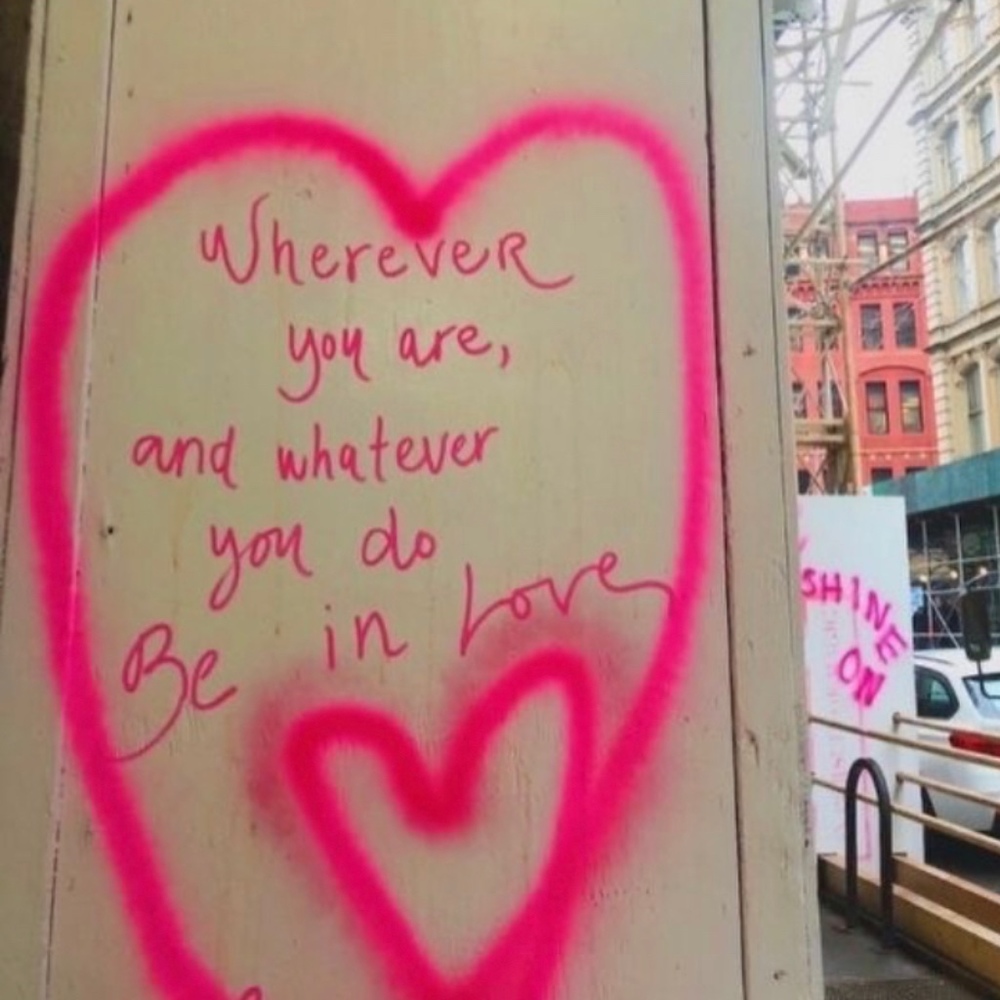 Meet your Posher, Bronte